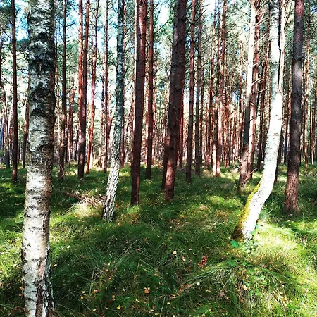 Niebieska Fala * Rowy (Pomerania)