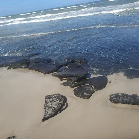 Niebieska Fala *