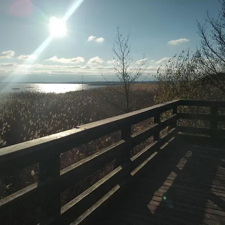 Niebieska Fala Ровы