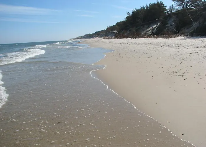 Niebieska Fala * 罗威