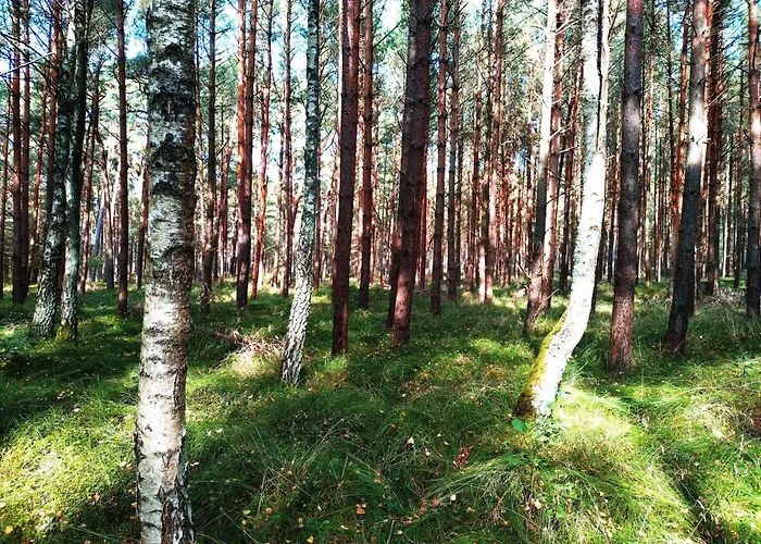 Niebieska Fala * 罗威