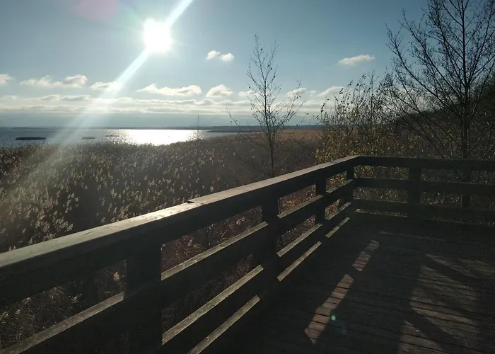 Niebieska Fala 罗威